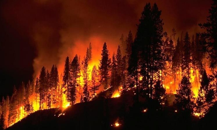 Se buscan responsables de incendio forestal que afecta 300 hectáreas en Calbuco