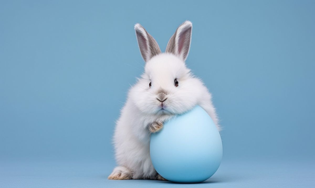 Historiador explica el origen de la tradición del conejo
y huevo de Pascua en Semana Santa