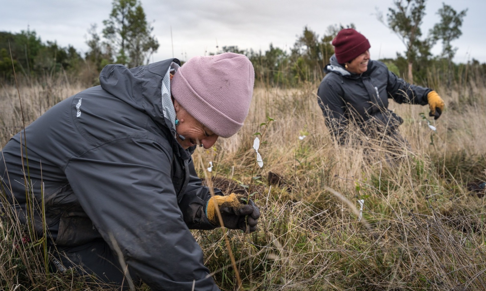 Festival Pala en Mano ya plantó 6 mil árboles en Chiloé