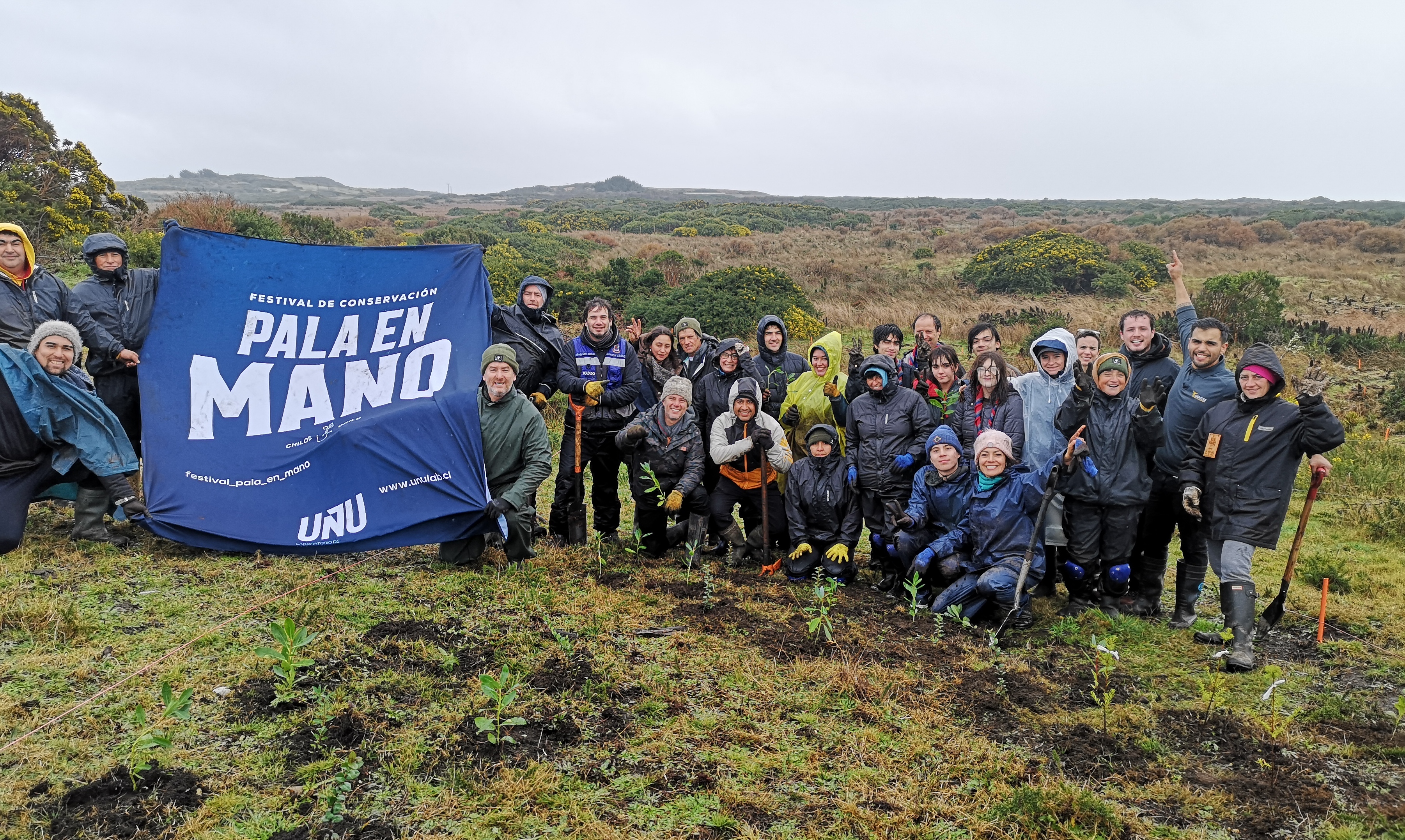 10 mil nuevos árboles plantados y más de 300 voluntarios registró la tercera edición del Festival Pala en Mano en Chiloé