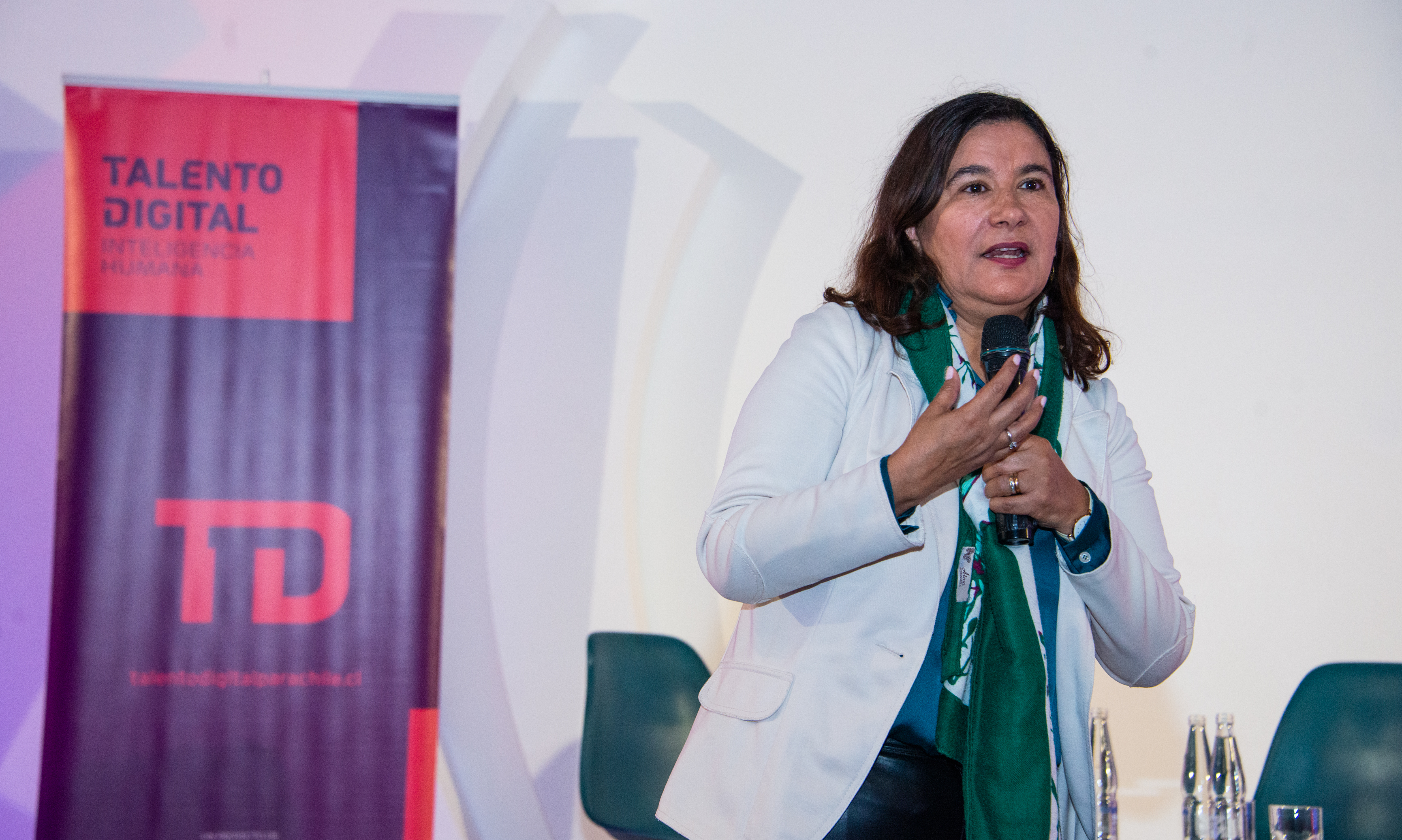 Formación, equidad de género e inclusión: Los desafíos de Chile en la búsqueda de profesionales TI