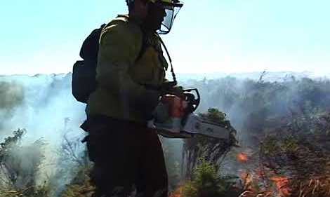 Cortafuegos para prevenir incendios forestales