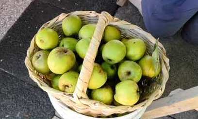 En Ancud se realizó segunda Fiesta Agroecológica de la Manzana 
