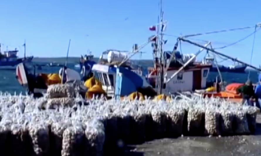 Resolución abrió zonas de pesca en la comuna de Quellón 