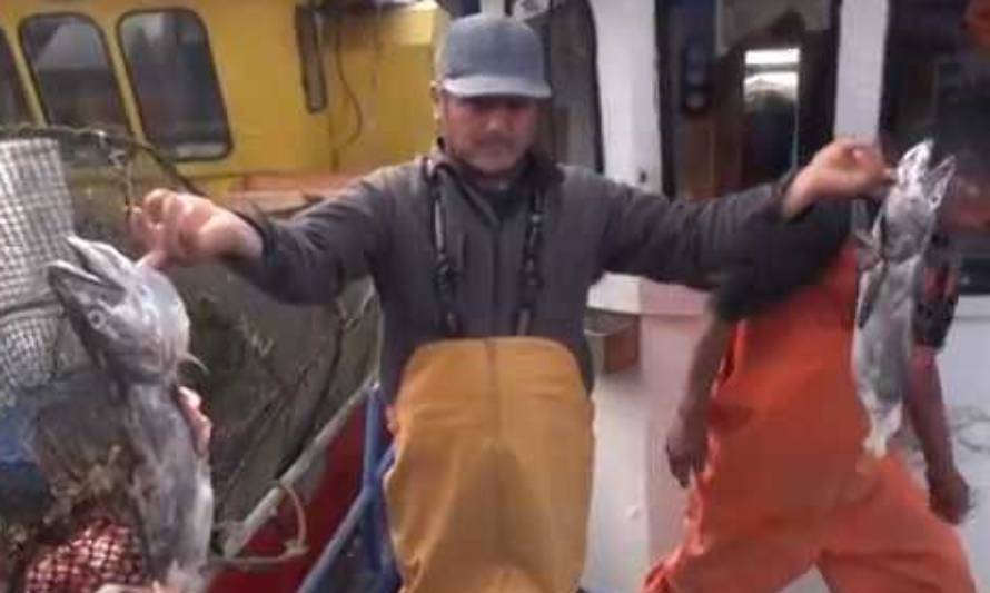 Pescadores artesanales exigen soluciones ante ataques marinos 