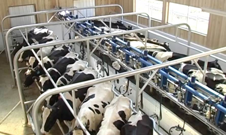 Entregaron argumentos por solicitud de salvaguardas para productos lácteos