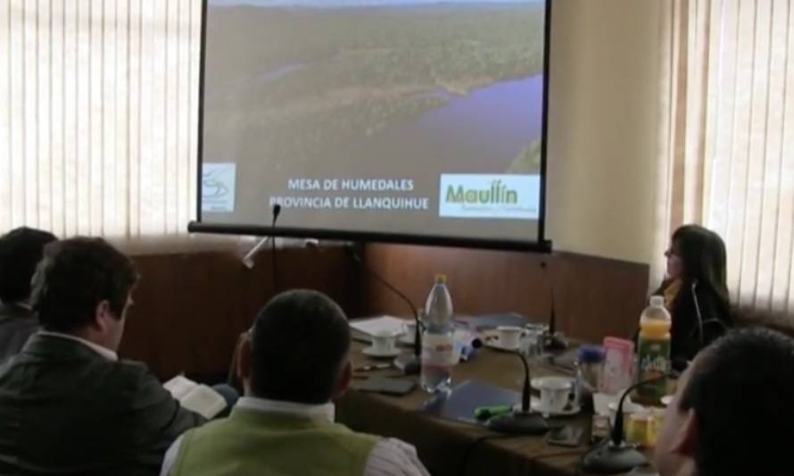 Siguen promoviendo protección de humedales del río Maullín