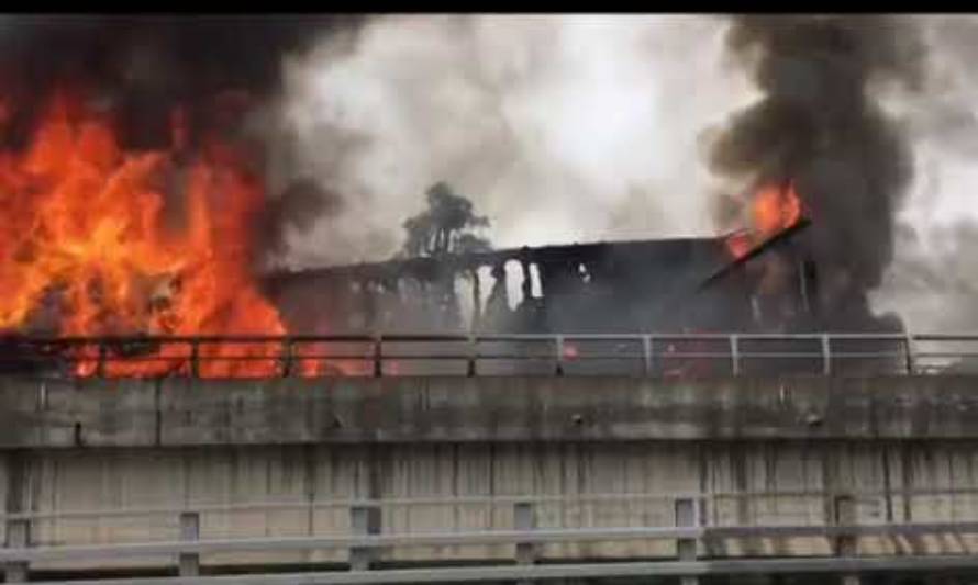 Fatal colisión de camiones corta la ruta 5 en las cercanías de Osorno