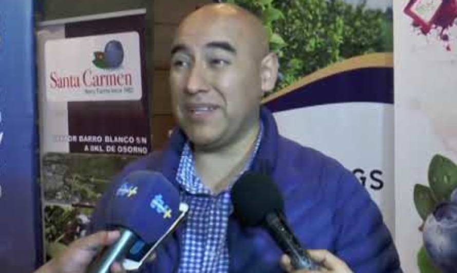 Por octavo año consecutivo realizan feria laboral agrícola en Osorno