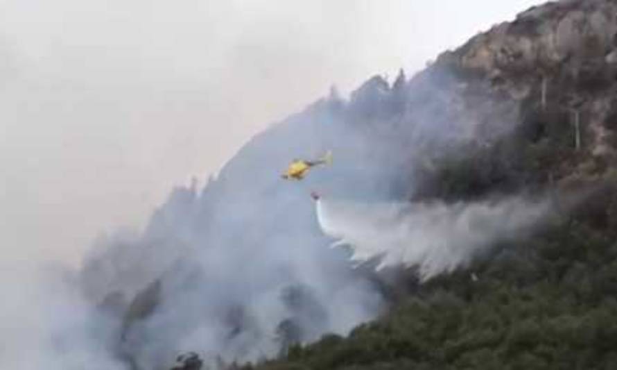 Austera celebración del día del brigadista forestal