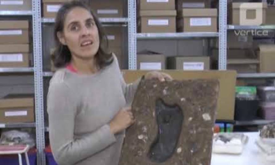 Confirman hallazgo de huella humana de 15.600 años en Osorno