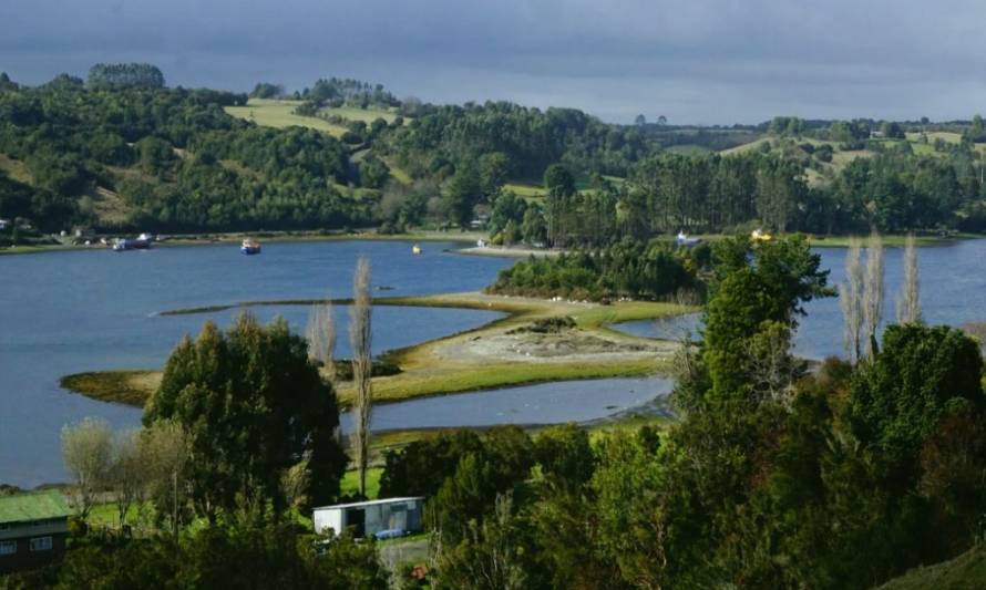 Autoridad Marítima encuentra buzo sin vida en Isla Puluqui