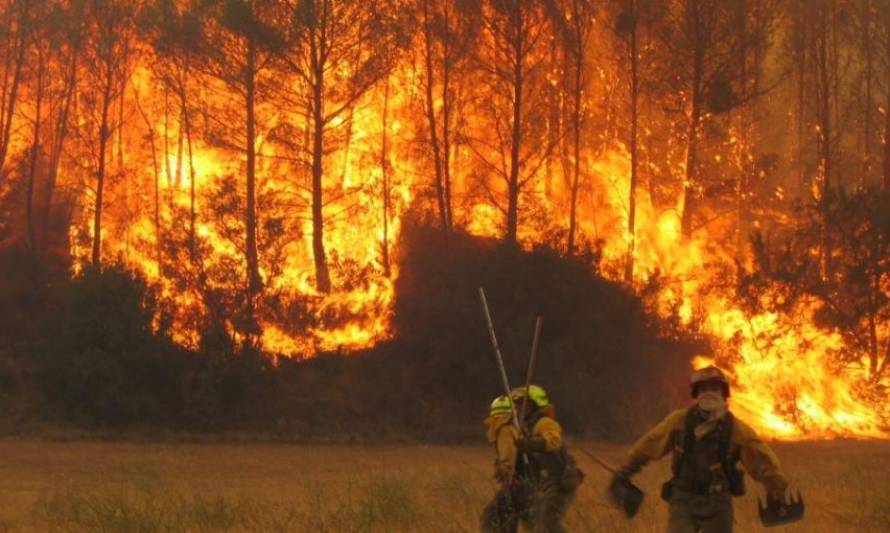 Diputado Hernández solicita apurar  creación del Servicio Nacional Forestal