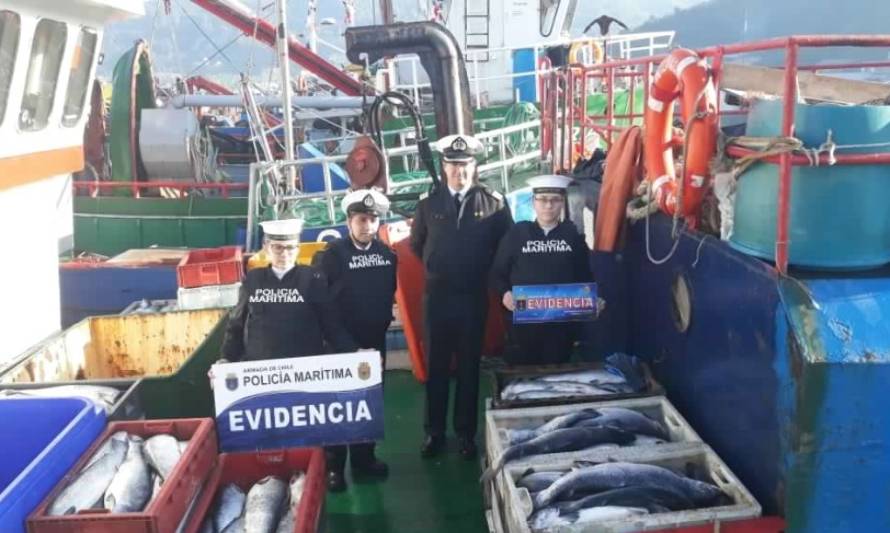 Incautación histórica: Armada decomisa más de 15 toneladas de salmón en Puerto Montt