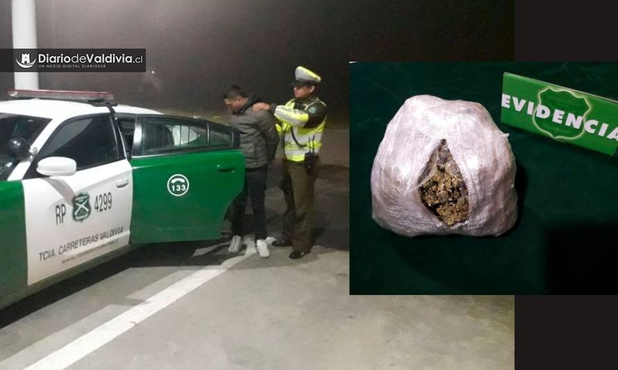 Tenencia de Carretera de Paillaco detuvo a colombiano que llevaba droga a Osorno