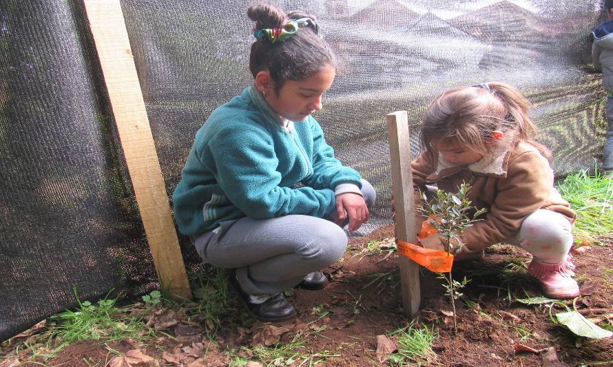 Escuela Rural La Capilla conmemoró día de la Desertificación y la Sequía