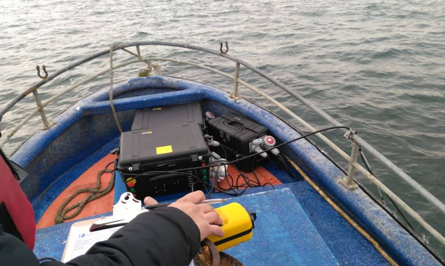 Subpesca prueba dispositivo sonoro para ahuyentar a lobos marinos en Los Lagos