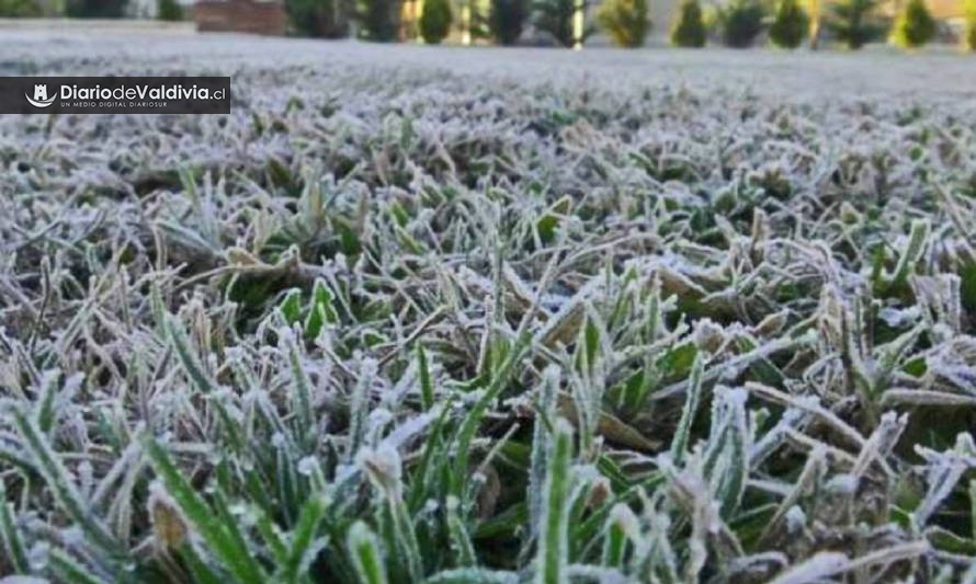 Abrigarse y manejar con cuidado: Heladas afectarán a la zona entre domingo y lunes