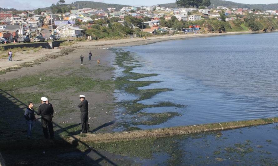 Según estudio del Minsal la contaminación de la bahía de Ancud por coliformes fecales sería responsabilidad de ESSAL