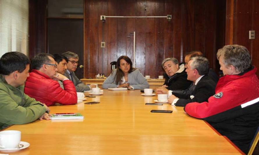 Gobernadora de Llanquihue abordó con alcaldes Nueva Agenda Social propuesta por el Presidente