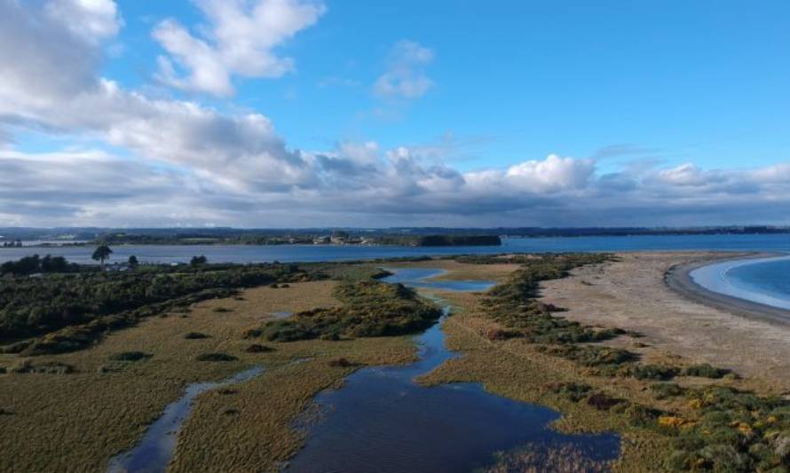 Humedales del río Maullín fueron declarados Santuario de la Naturaleza