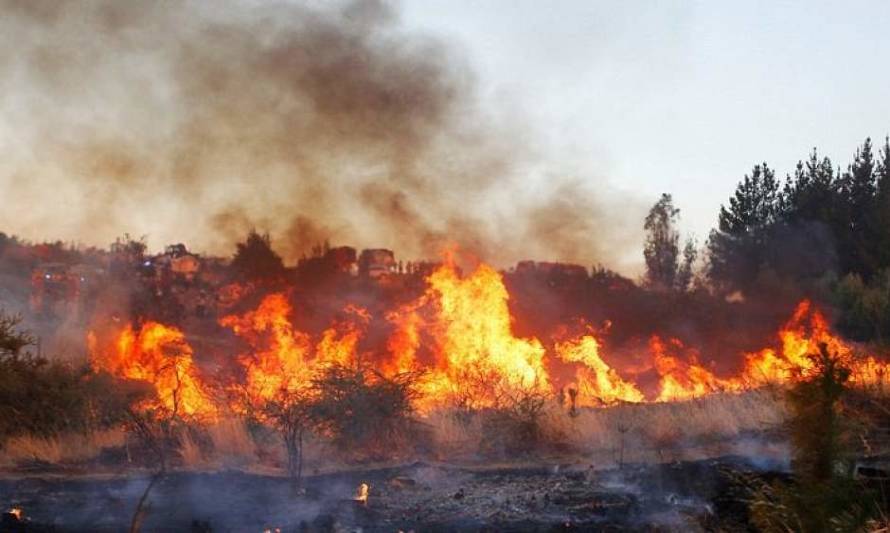 Bomberos comienza preparación para control de Incendio Forestales
