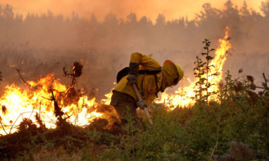 CONAF se prepara para enfrentar una dura temporada de incendios forestales