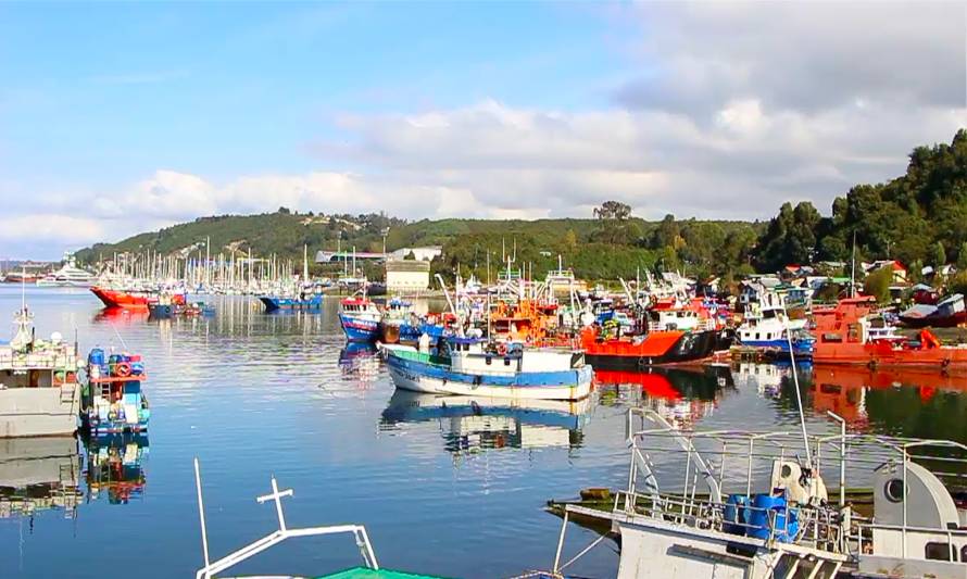 Caleta Anahuac se prepara para vender sus productos en Semana Santa.