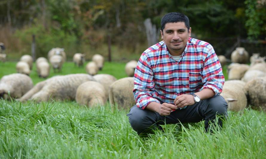 INIA Remehue amplía sistema de asistencia técnica a distancia a planteles ovinos
