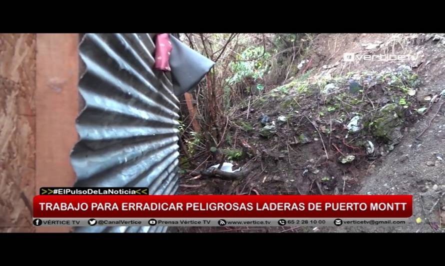 Organismos trabajan para erradicar laderas de Puerto Montt