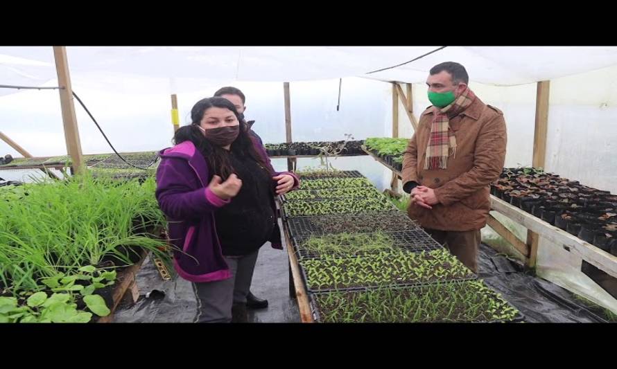 Subsecretario de agricultura visitó Chiloé para garantizar cadena de alimentos