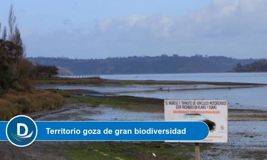 Castro aprobó decreto que protege humedales de la comuna