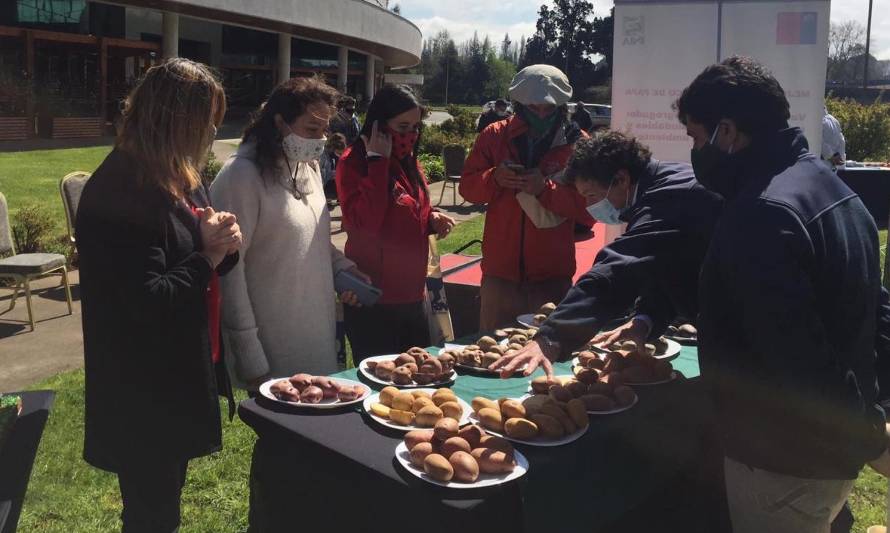 Cámara de Comercio e Industrias, Servicios y Turismo de Osorno conmemoró día Mundial del Turismo