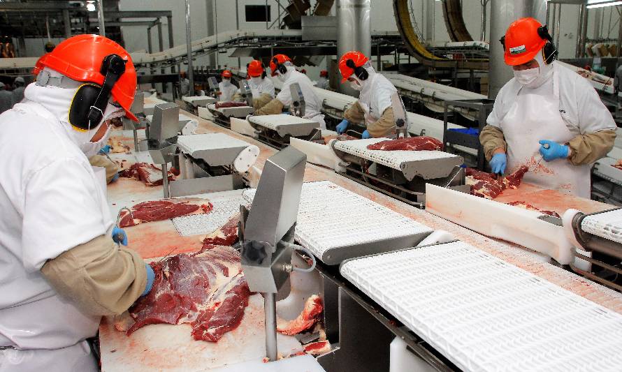 Exportación de carne bovina crece 15 % en Los Lagos y tiene como principal destino a China 
