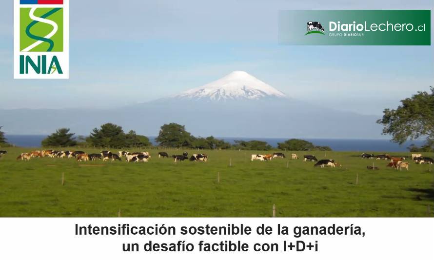 XLV Congreso SOCHIPA analiza en tres días la sustentabilidad de la intensificación ganadera