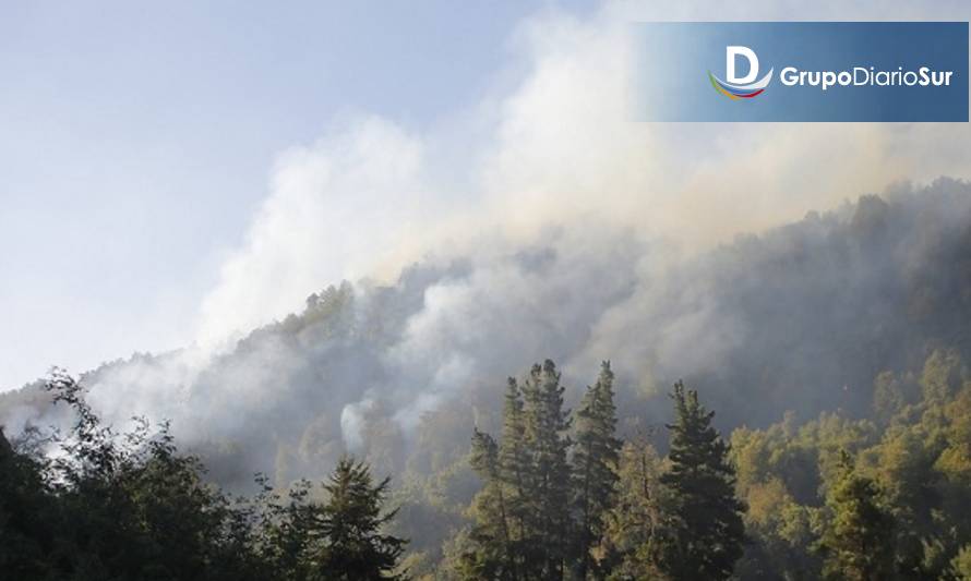Incendio forestal afecta a la comuna de Palena