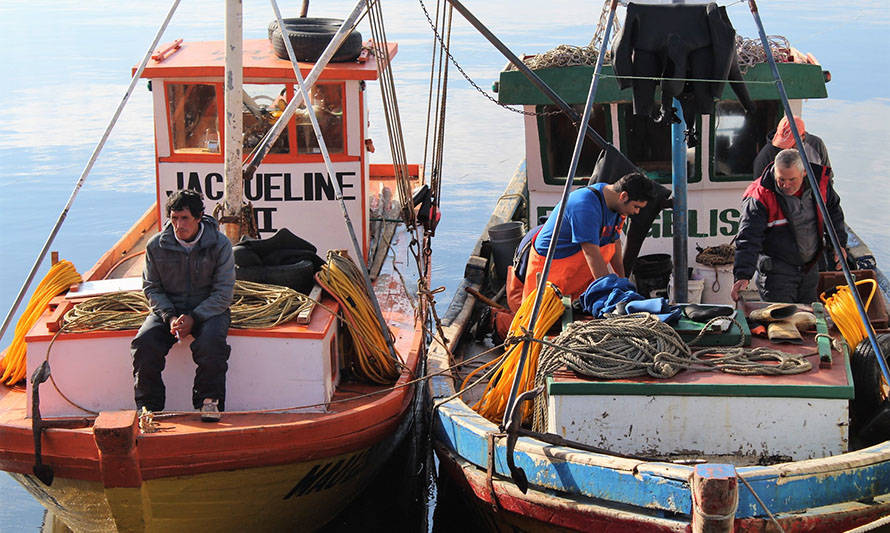 Los Lagos: llaman a pescadores artesanales a integrar el directorio de Fundación Chinquihue