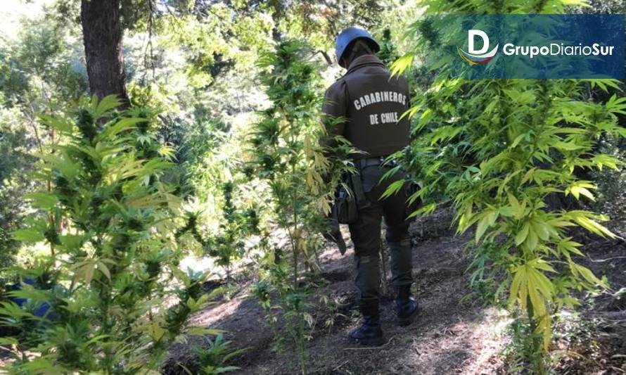 Fuente: Carabineros de Chile.