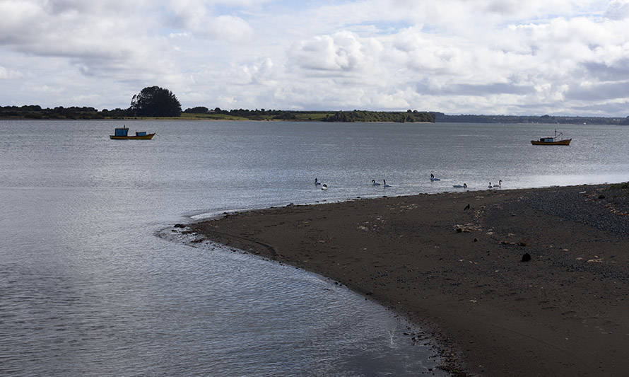 Chiloé: comunidades indígenas de Caulín acuerdan uso de espacio costero marino