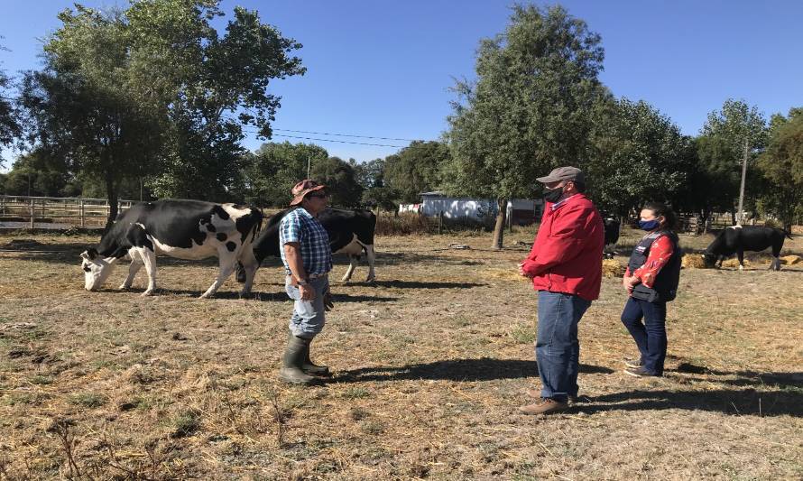 Déficit hídrico: Minagri adelanta entrega de apoyos para la pequeña agricultura 