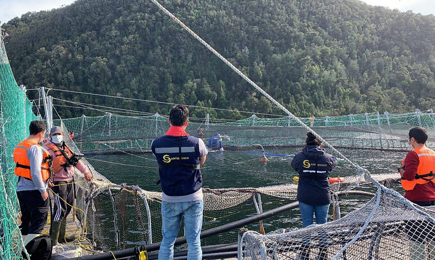 Intesal asegura que eventos de floraciones algales nocivas están en retirada