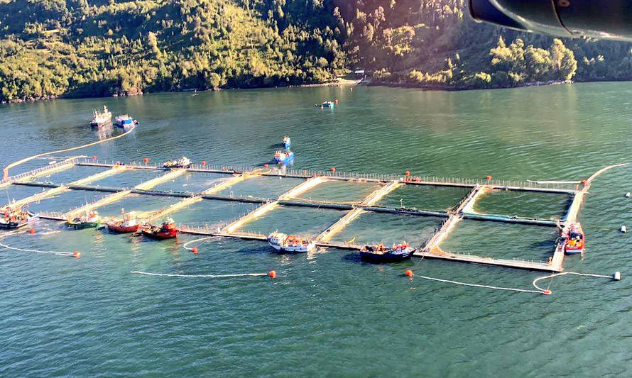 Sernapesca se querella contra Camanchaca por contaminar fiordo Comau