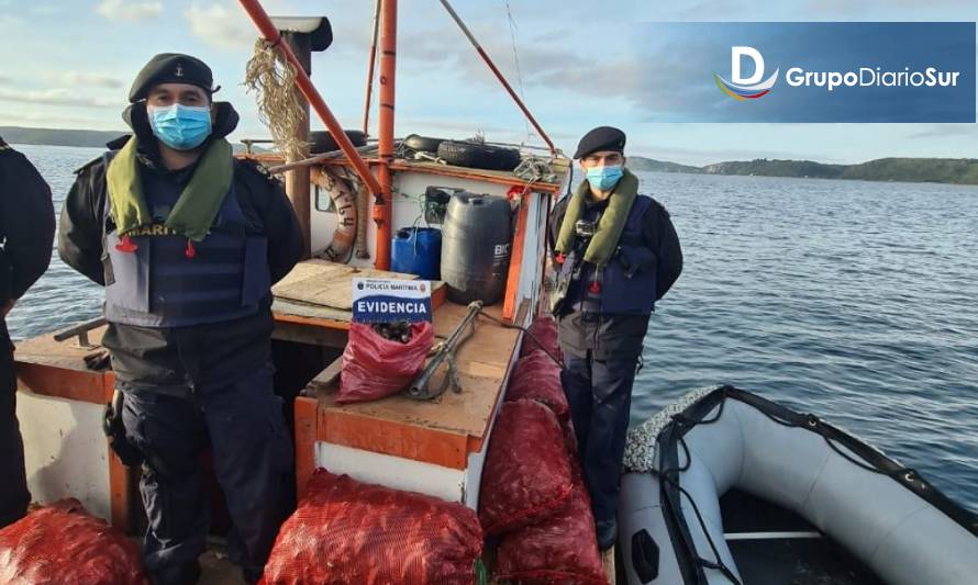 Incautan más de una tonelada de recursos marinos en Quemchi