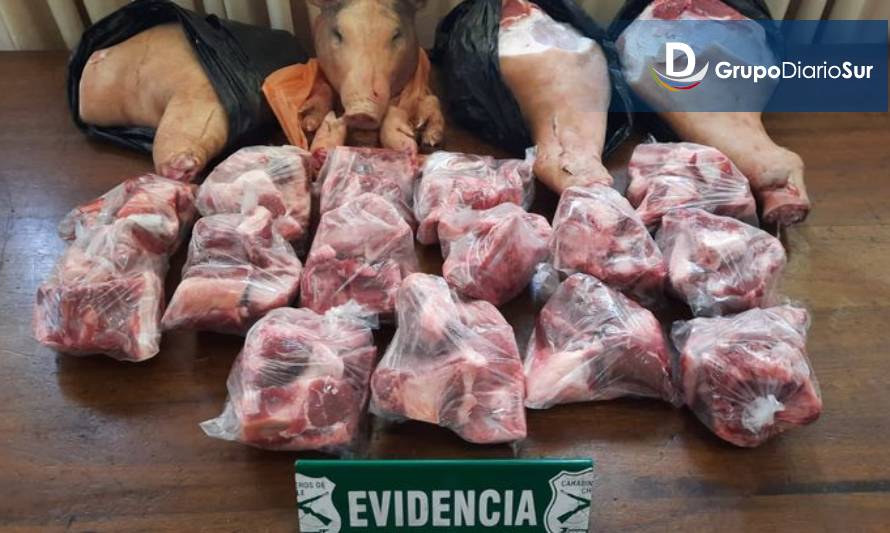 Decomisan 43 kilos de carne que era vendida clandestinamente en feria de Osorno