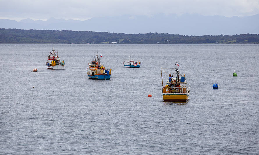 Ministerio de Economía y GORE Los Lagos lanzan ambicioso programa de impulso a la pesca artesanal