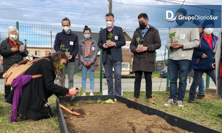 Puerto Varas apuesta por revolución alimentaria con primer Huerto Urbano