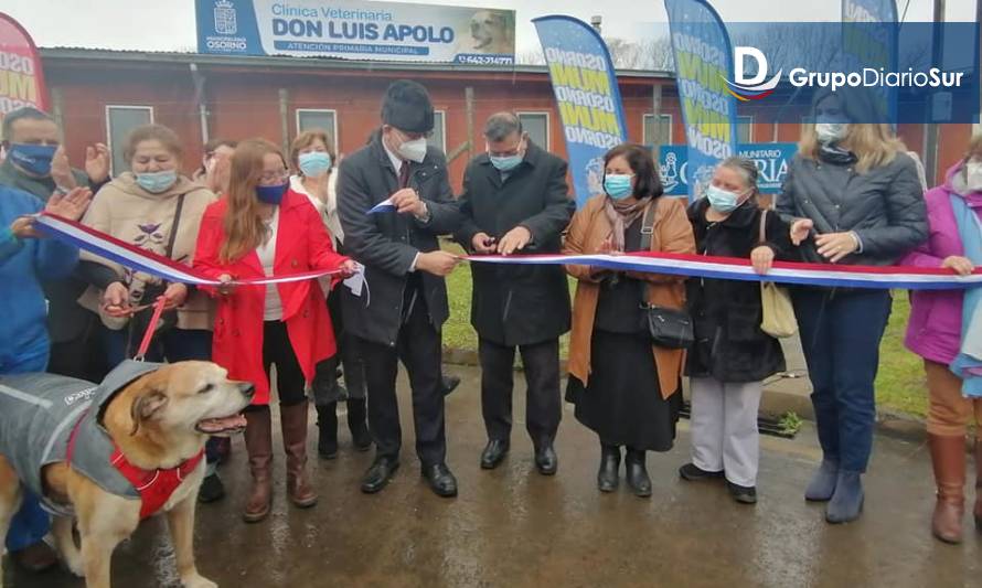 Emblemático perro osornino es el  símbolo de la primera clínica veterinaria municipal