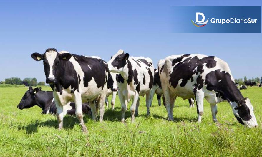 Productores de leche se comprometen con la sustentabilidad  
