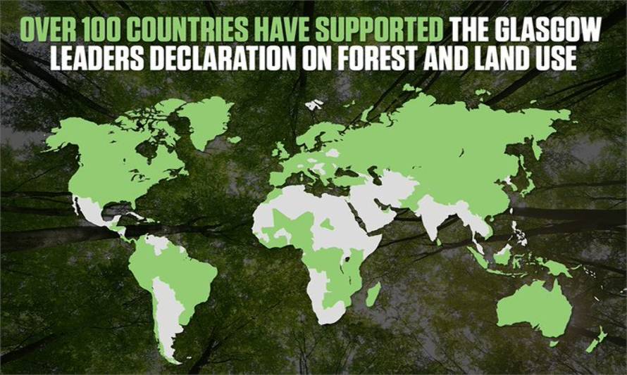 COP26: En verde los países que firmaron la declaración sobre los bosques y el uso de la tierra