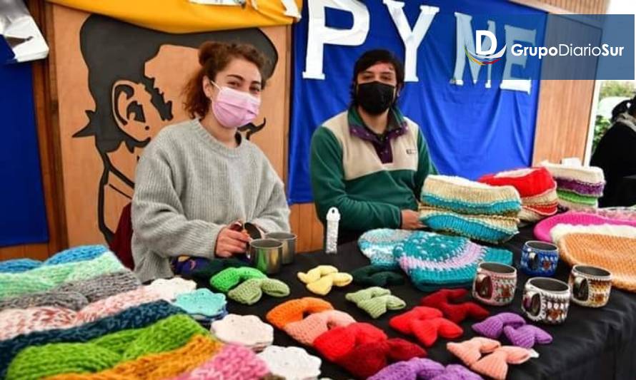 Entregan balance de ayudas a Pymes durante la pandemia en Los Lagos